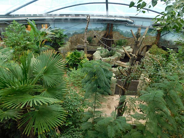 Allwetterzoo M&uuml;nster