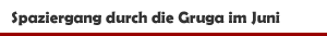 Spaziergang durch die Gruga im Juni 2026
