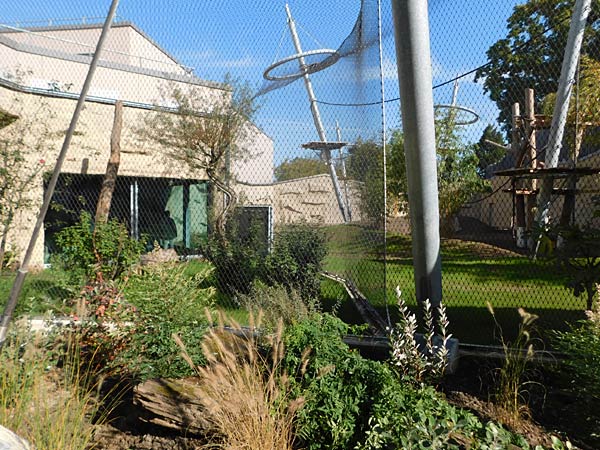 Eröffnung des 'MenschenaffenWald' im Zoo Krefeld