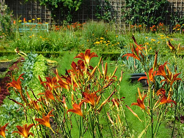 sommerliche Tour durch D&uuml;sseldorf-Benrath