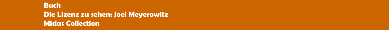 Buch 'Die Lizenz zu sehen: Joel Meyerowitz' aus der Midas Collection