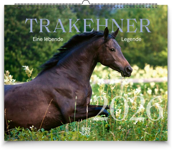 Kalender 'Trakehner � Eine lebende Legende' 2026 aus dem Benevento Verlag