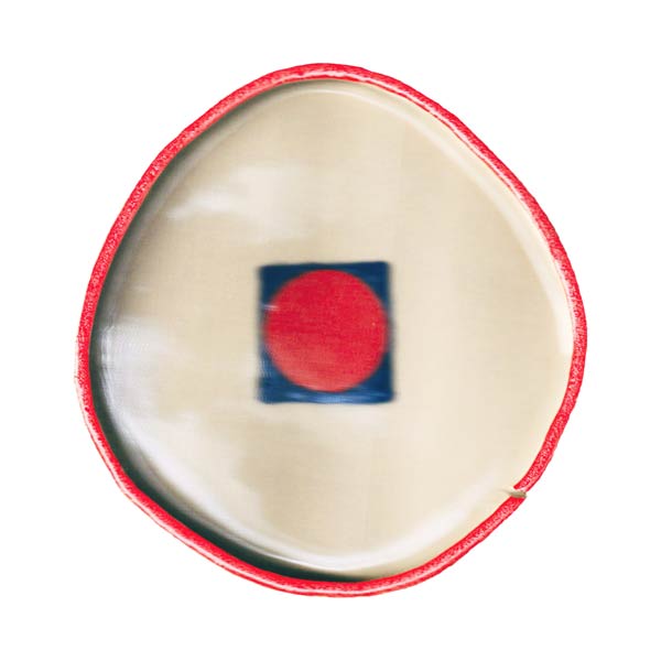 Album 'Virgin Lake' von Philine Sonny