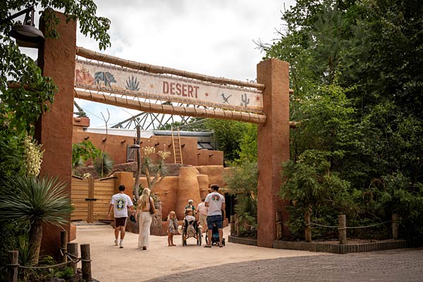 Umgestaltung der W&uuml;ste im Burgers Zoo in Arnheim