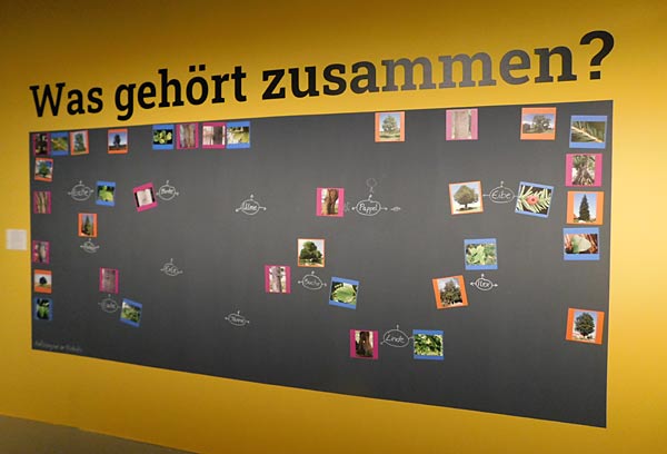 Ausstellung 'Geschichten aus dem Duisburger Wald' im Kultur- und Stadthistorischen Musuem in Duisburg