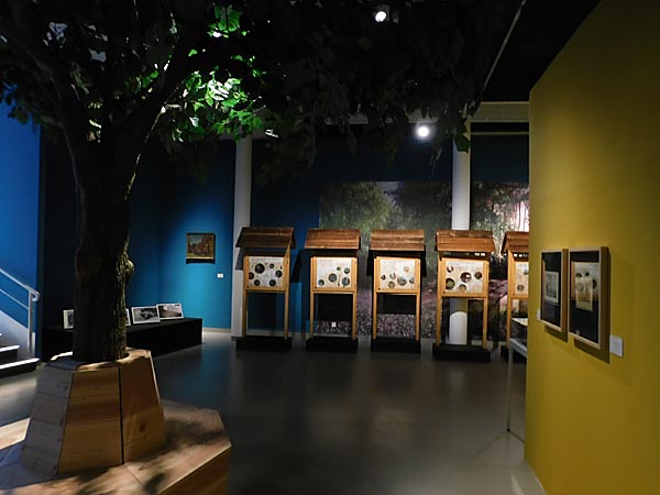 Ausstellung 'Geschichten aus dem Duisburger Wald' im Kultur- und Stadthistorischen Musuem in Duisburg