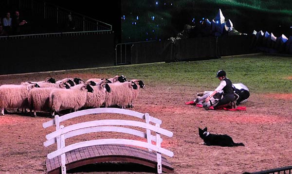 Messe 'Equitana' 2025 in der Messe Essen