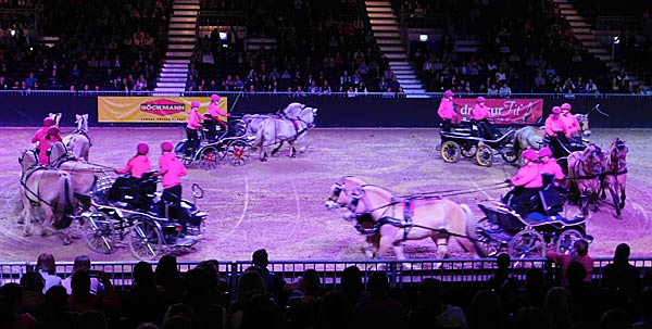 Messe 'Equitana' 2025 in der Messe Essen