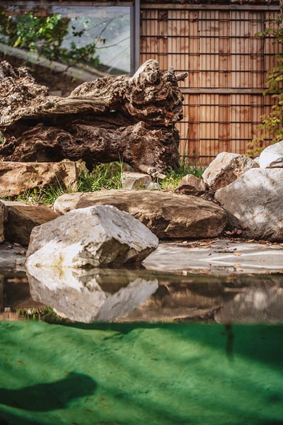 neues Gehege der Fischkatzen im Zoo Duisburg