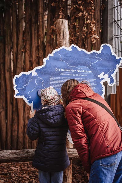 neues Gehege der Fischkatzen im Zoo Duisburg