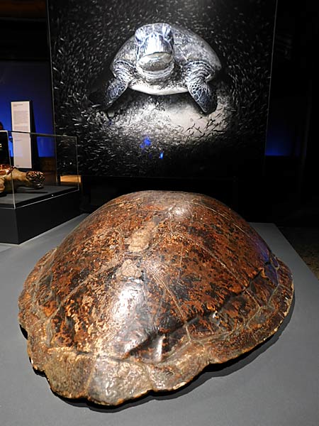 Jubil&auml;umsbesucher in der Ausstellung 'Planet Ozean' im Gasometer Oberhausen