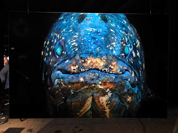 Jubil&auml;umsbesucher in der Ausstellung 'Planet Ozean' im Gasometer Oberhausen