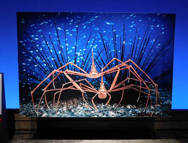 Jubil&auml;umsbesucher in der Ausstellung 'Planet Ozean' im Gasometer Oberhausen