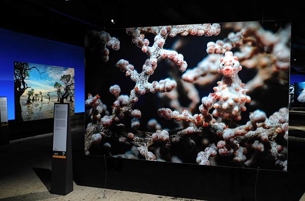 Jubil&auml;umsbesucher in der Ausstellung 'Planet Ozean' im Gasometer Oberhausen