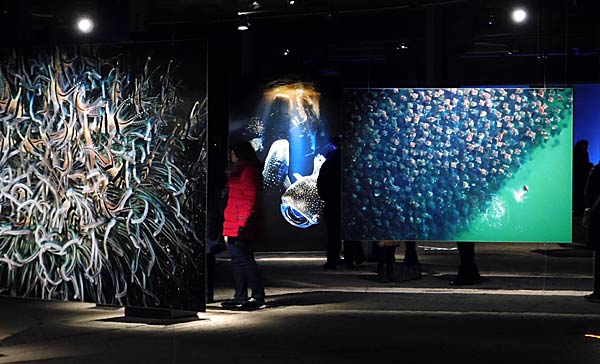 Jubil&auml;umsbesucher in der Ausstellung 'Planet Ozean' im Gasometer Oberhausen