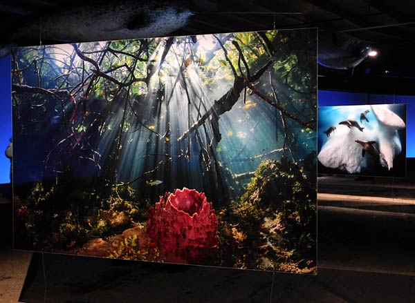 Jubil&auml;umsbesucher in der Ausstellung 'Planet Ozean' im Gasometer Oberhausen