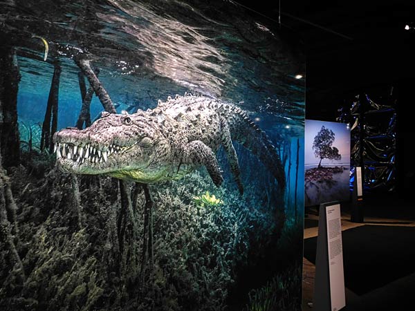 Jubil&auml;umsbesucher in der Ausstellung 'Planet Ozean' im Gasometer Oberhausen
