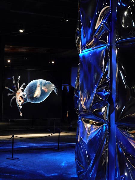 Jubil&auml;umsbesucher in der Ausstellung 'Planet Ozean' im Gasometer Oberhausen