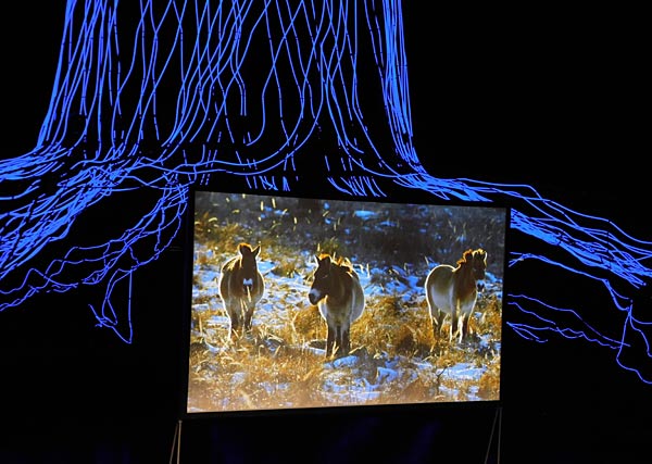 Vortrag zu 'Der Wald, das Klima und die Biodiversit&auml;t' von Jan Haft im Gasometer Oberhausen