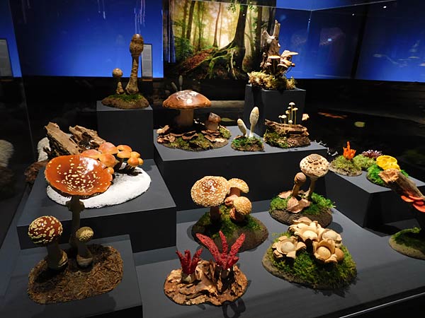 Ausstellung 'Mythos Wald' im Gasometer Oberhausen