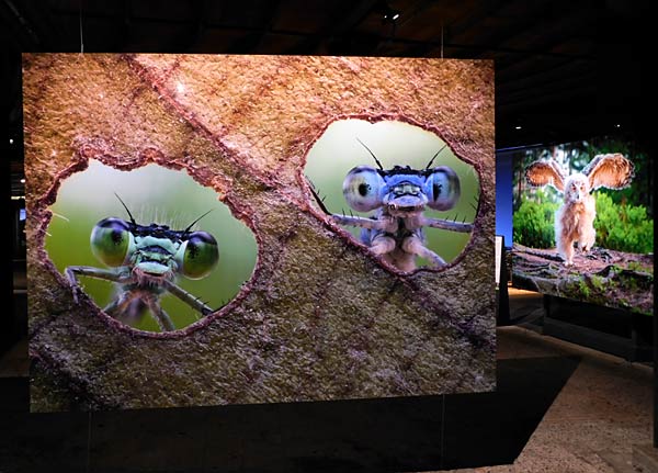 Ausstellung 'Mythos Wald' im Gasometer Oberhausen