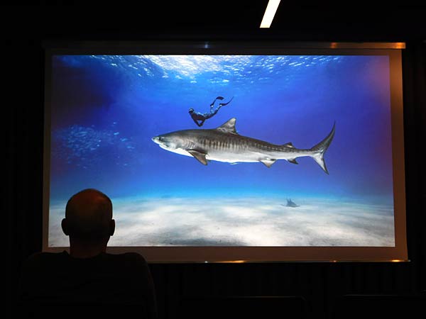 Haiforscher Lukas Müller mit dem Vortrag 'Deep Dive' beim Nachhaltigkeitstag von Canon Deutschland in Krefeld