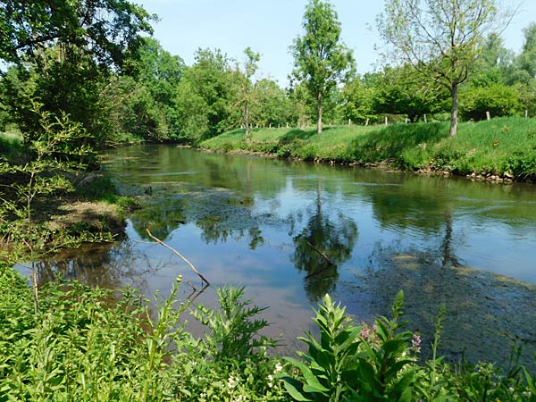 Museum Insel Hombroich in Neuss