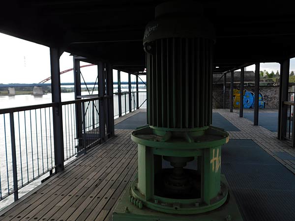 Rundgang über das IGA 2027 Gelände im RheinPark in Duisburg