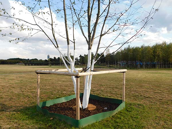 Rundgang über das IGA 2027 Gelände im RheinPark in Duisburg