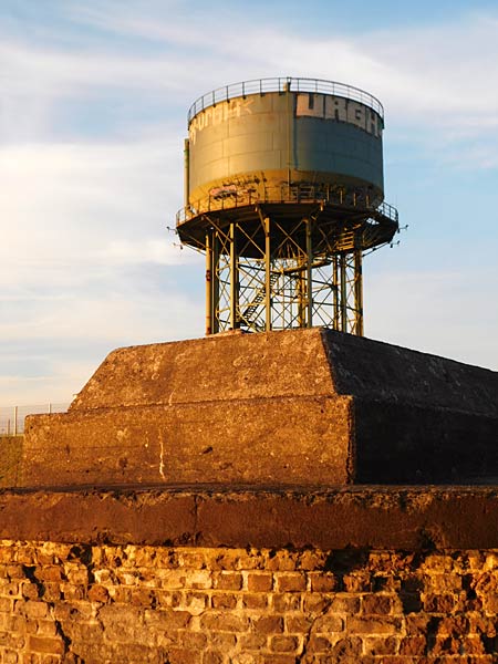 Rundgang über das IGA 2027 Gelände im RheinPark in Duisburg