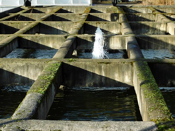 Vorbegehung der IGA 2027 auf der Kokerei Hansa in Dortmund