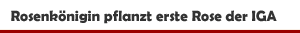 Pflanzung der ersten Rose im IGA-Zukunftsgarten Rheinpark in Duisburg durch die Steinfurther Rösenkönigin Theresa Hildebrand