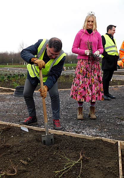 Pflanzung der ersten Rose im IGA-Zukunftsgarten Rheinpark in Duisburg durch die Steinfurther R&ouml;senk&ouml;nigin Theresa Hildebrand