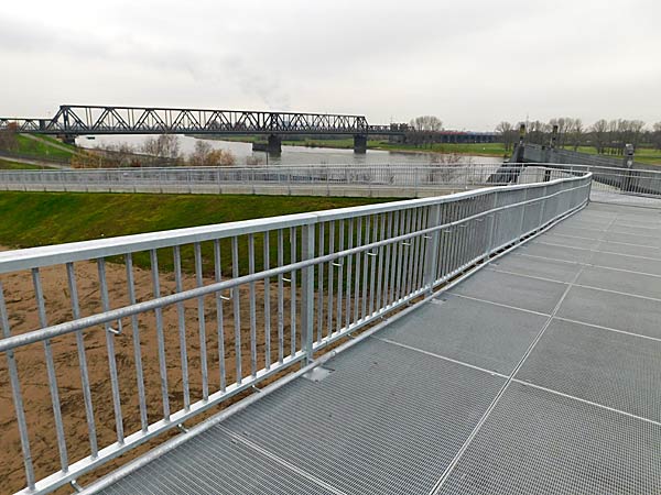 Pflanzung der ersten Rose im IGA-Zukunftsgarten Rheinpark in Duisburg durch die Steinfurther R&ouml;senk&ouml;nigin Theresa Hildebrand