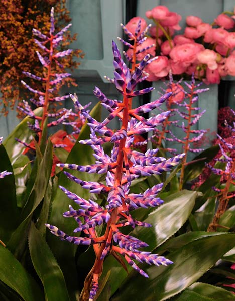 Messe 'IPM' 2026 in Essen