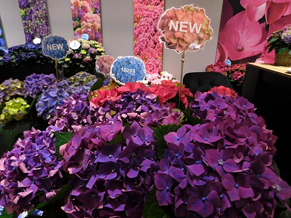 Messe 'IPM' 2026 in Essen