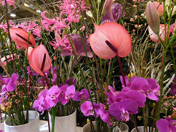 Messe 'IPM' 2026 in Essen