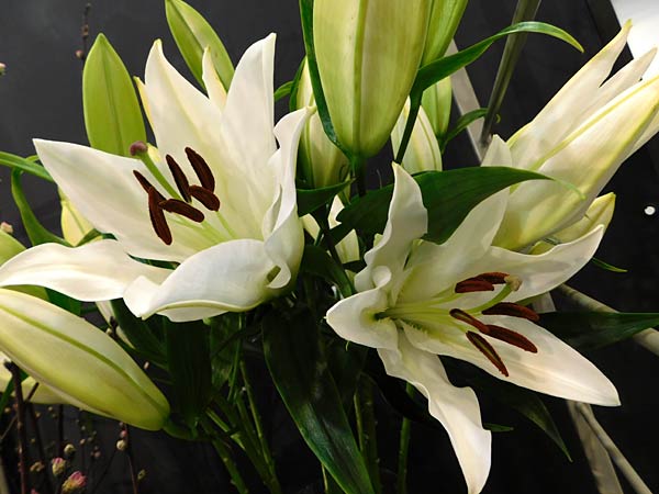 Messe 'IPM' 2026 in Essen