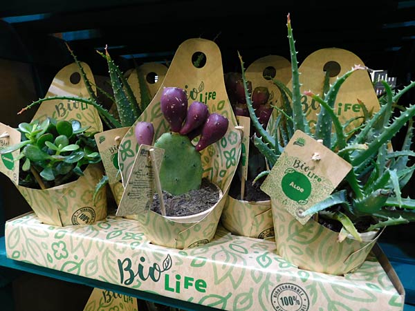 Messe 'IPM' 2026 in Essen