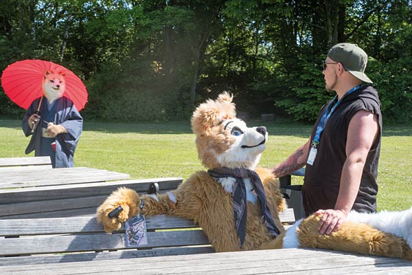 Ausstellung 'Wie man lebt  Wo man lebt. Dokumentarfotografien von Brigitte Kraemer' im Ruhr Museum in Essen