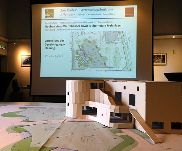 Vorstellung der neuen Orang Utan-Anlage im Zoo Krefeld