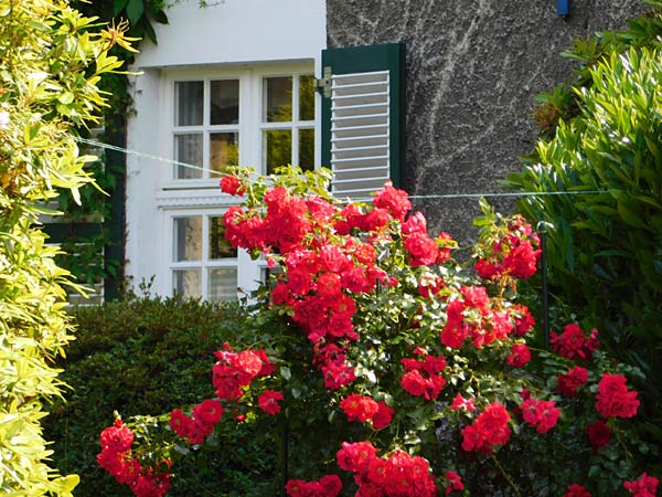 Spaziergang durch die Siedlung Margarethenh&ouml;he in Essen