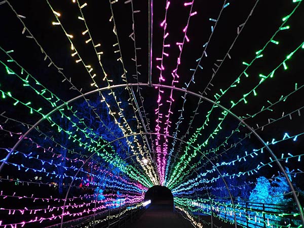 'Parkleuchten' 2026 im Grugapark Essen