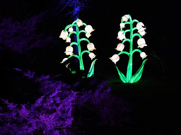 'Parkleuchten' 2026 im Grugapark Essen