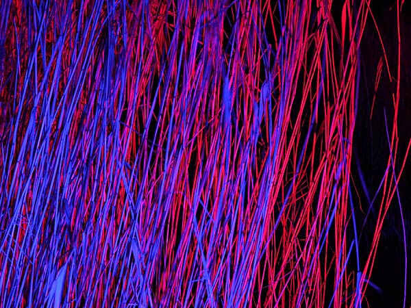 'Parkleuchten' 2026 im Grugapark Essen