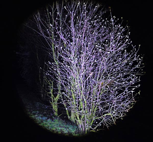 PSI-Spezial 'Outdoor': Rucksack und Taschenlampe von Nestler-matho