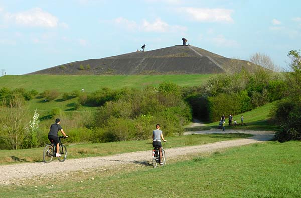 Halde Rungenberg in Gelsenkirchen mit der Sch&uuml;ngelbergsiedlung