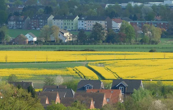 Halde Rungenberg in Gelsenkirchen mit der Sch&uuml;ngelbergsiedlung
