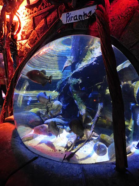 Gro&szlig;aquarium Sealife in Oberhausen