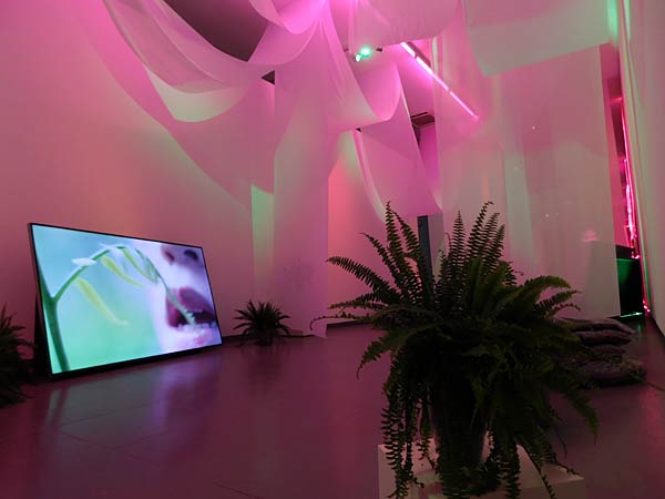 Ausstellung 'Sex Now' im NRW-Forum in Düsseldorf